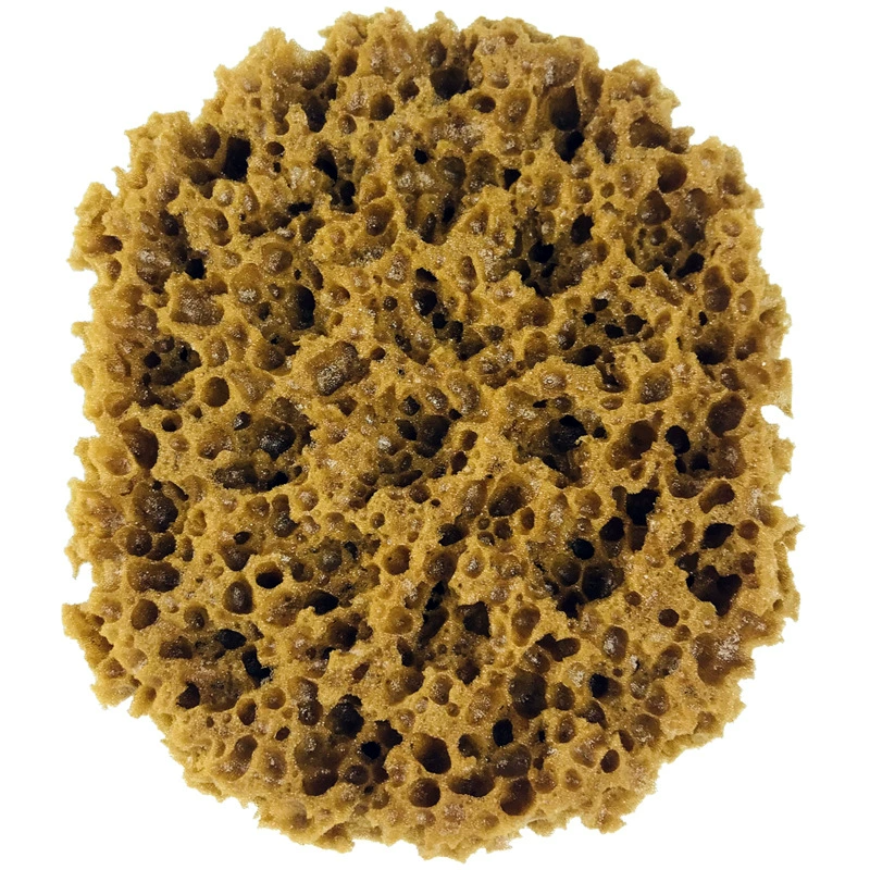 Artificial Seaweed Sponge  (PT-M88KG)